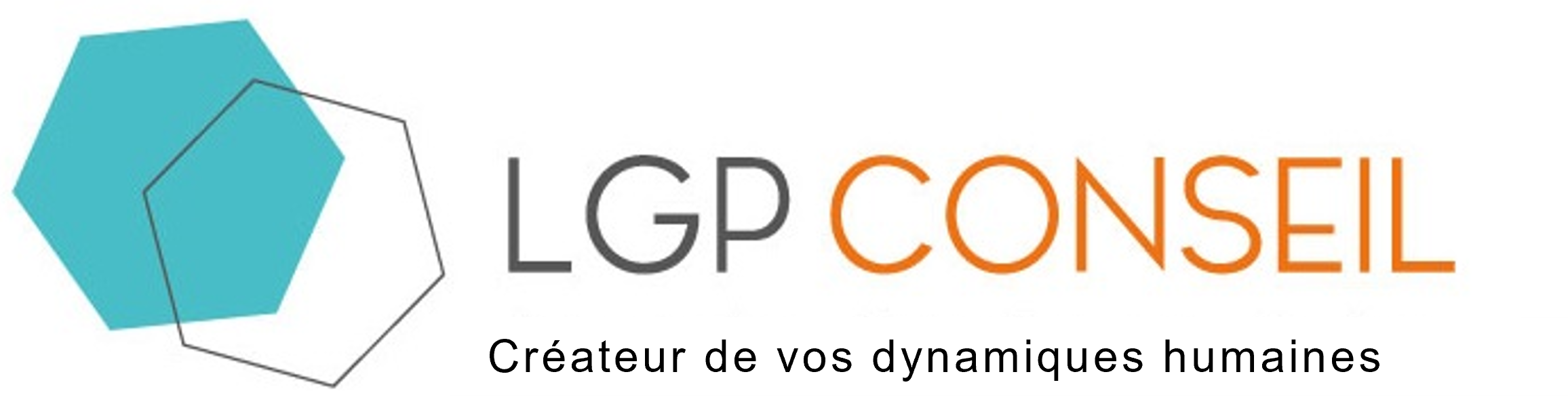 Lgp conseil