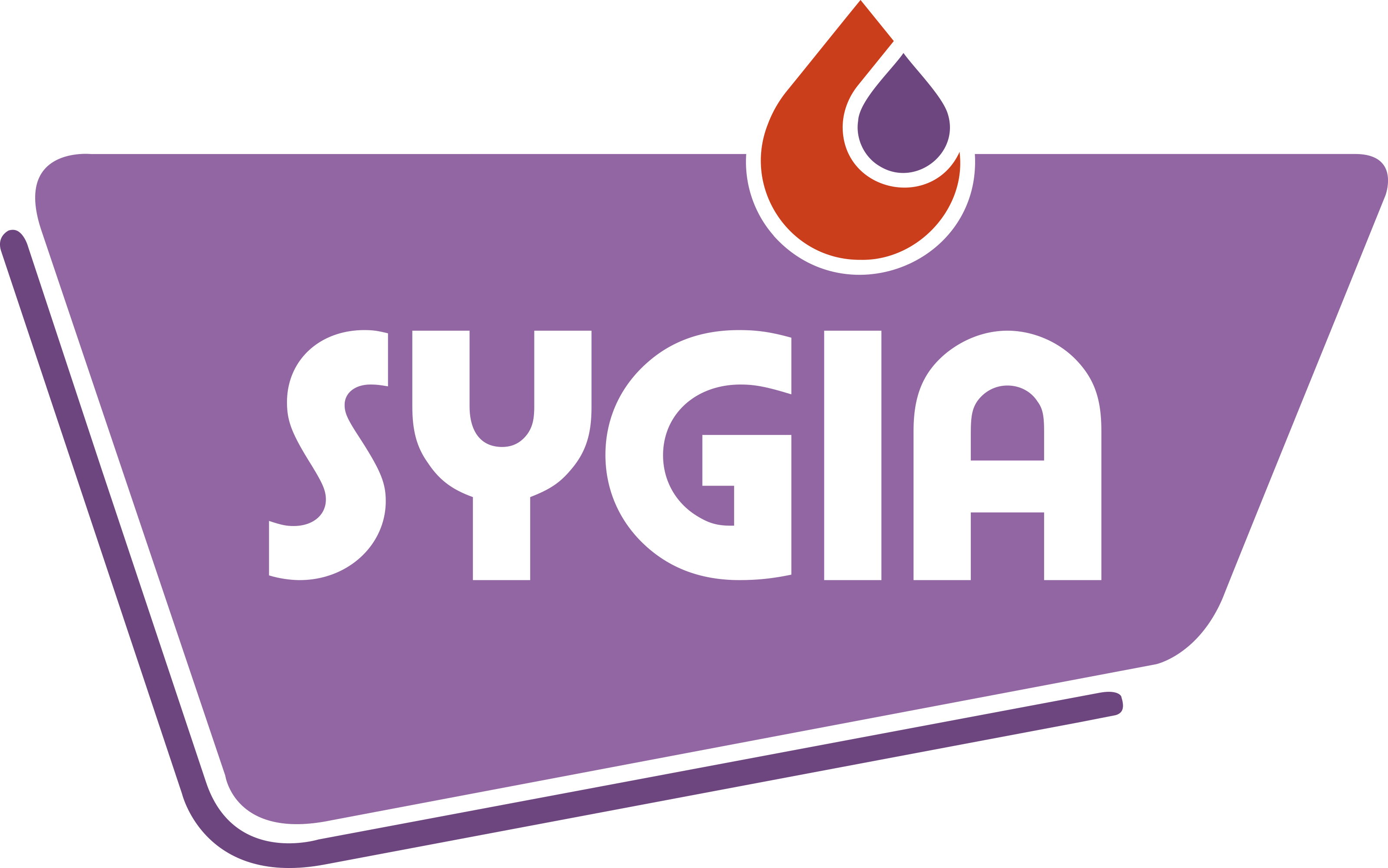 Lmc'net sygia