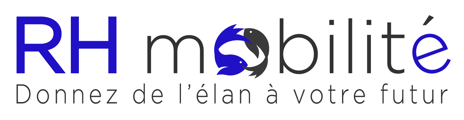 Passerelle consulting   rh mobilite