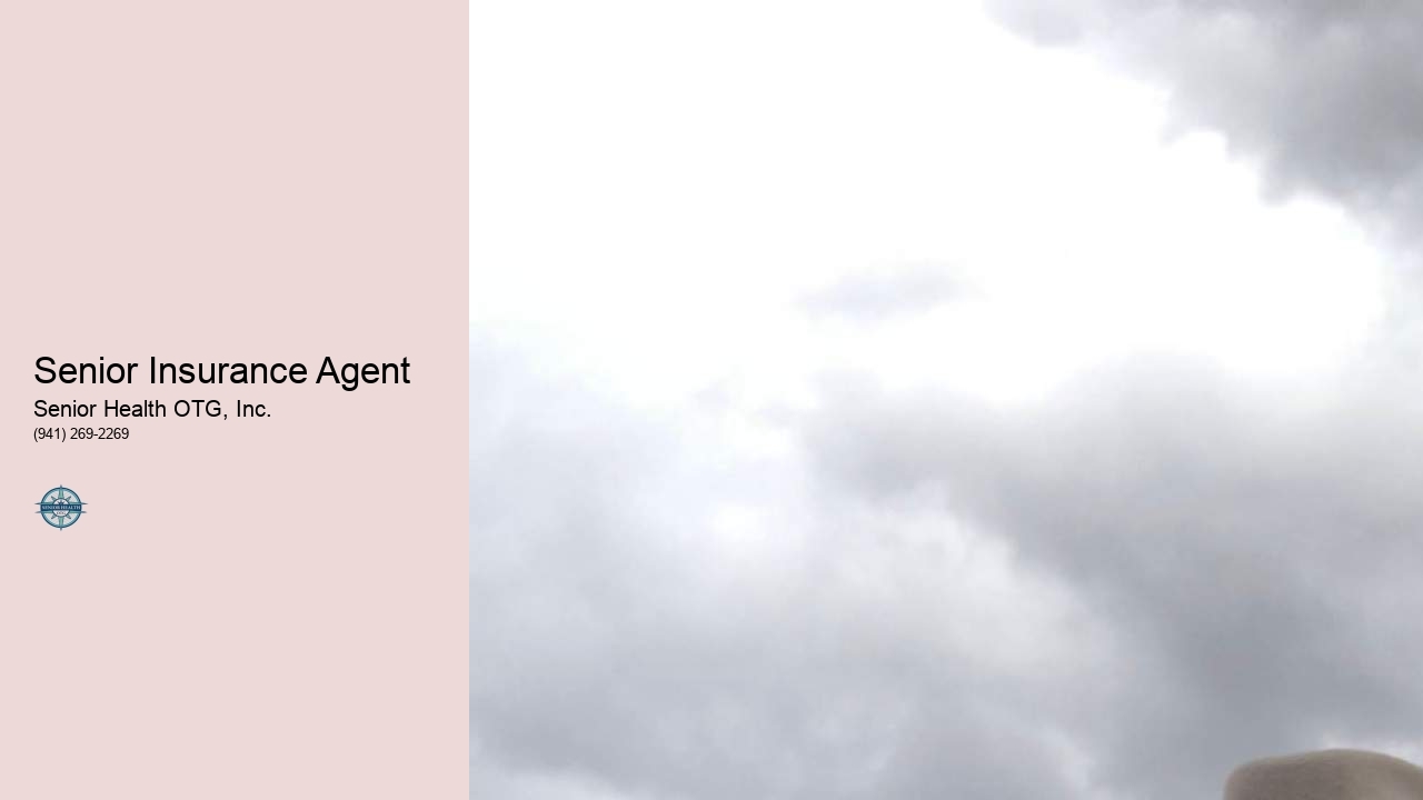 Senior Insurance Agent