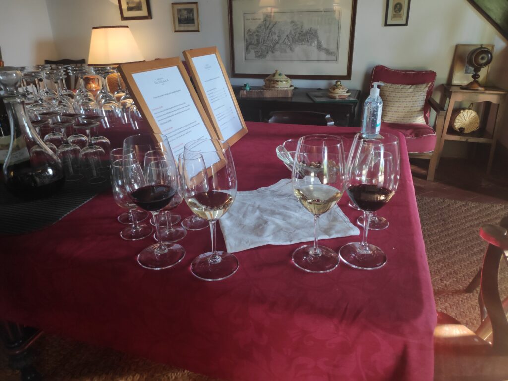 Educational wine tasting experience