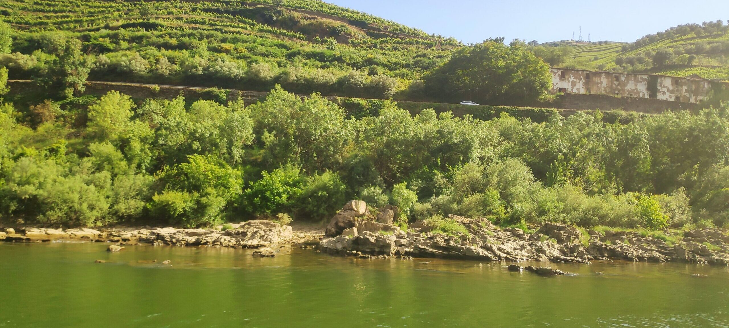 Douro Valley: an aesthetic experience with amazing vineyards