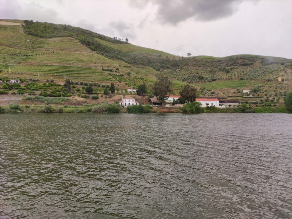 Douro seen from the boat cruize