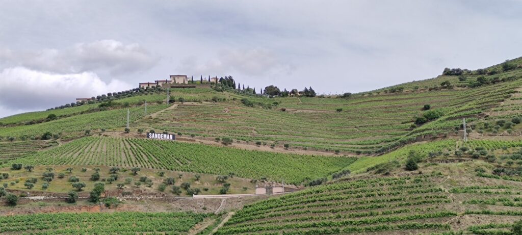 vineyards and cellars in Douro Valley view from Peso da Régua region