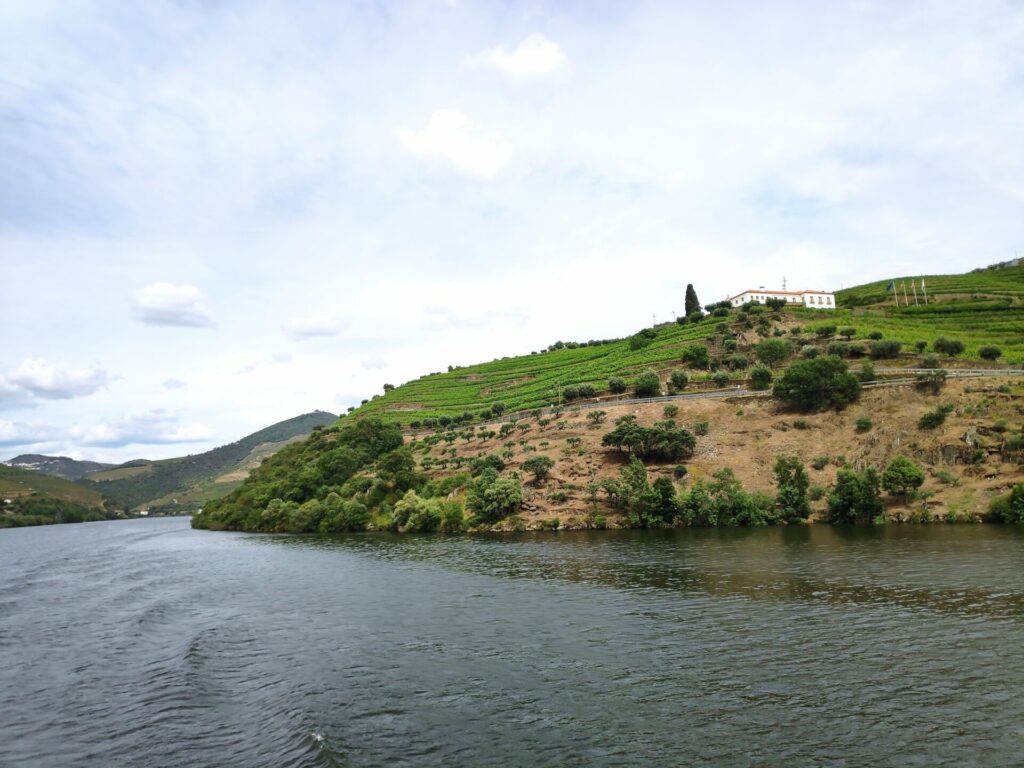 Douro valley aesthetic view from Peso da Régua