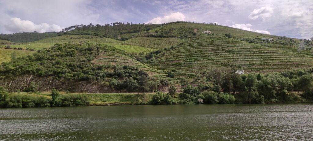 Vineyards and more view from the boat