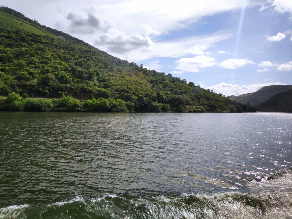 Douro River view from the cruize