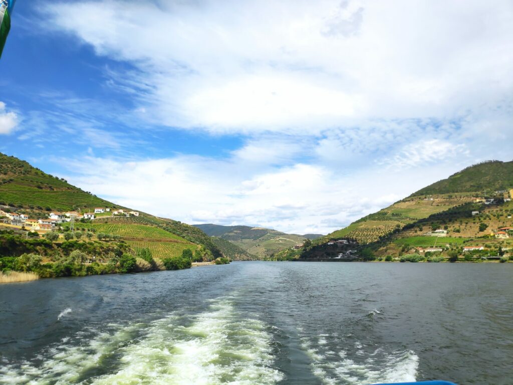 river view from Douro Valley