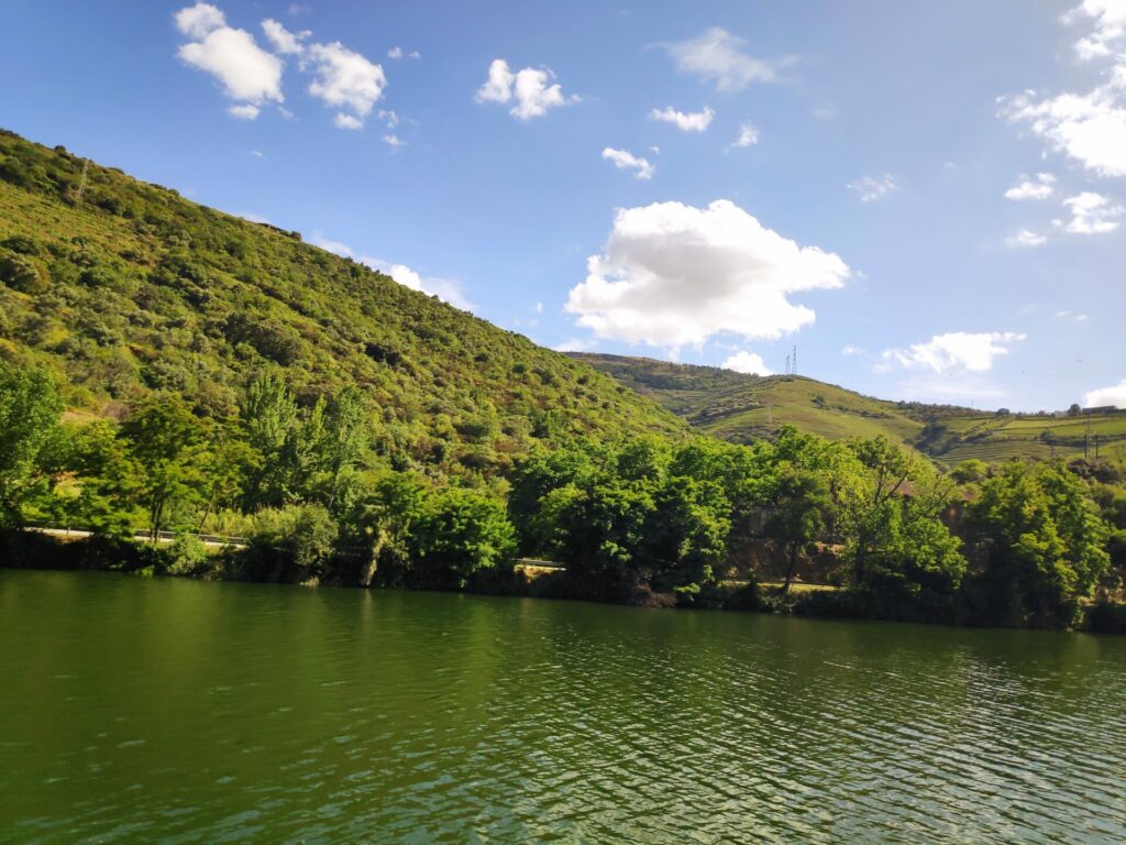 Green water in Douro Valley