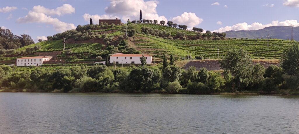 Vineayrds winemaker wine cellar