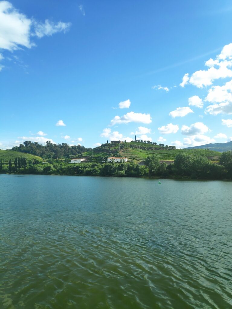 View from the boat cruize in Douro Valley