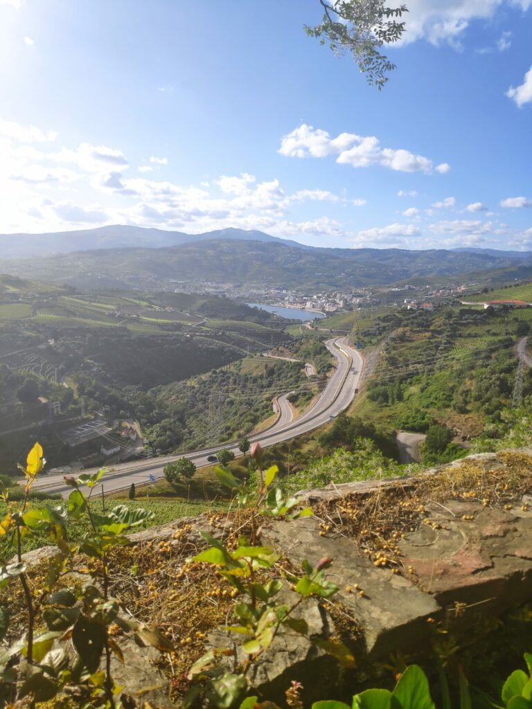 Douro Valley view from Quinta da Valdalágea