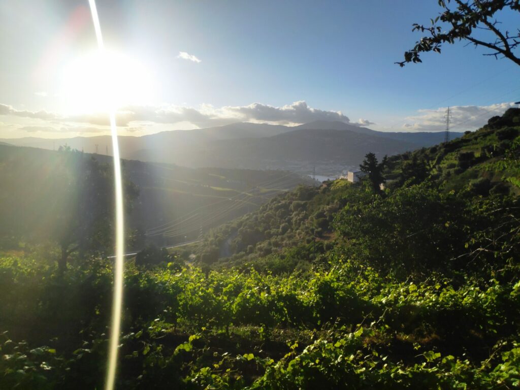 Sunset falling in Peso da Régua