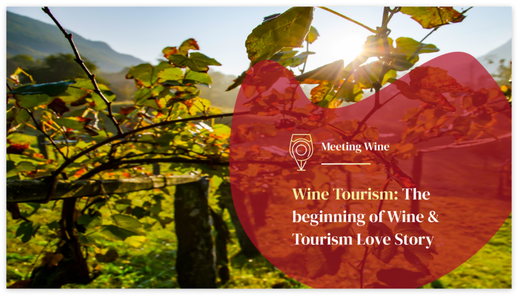 Wine and tourism love story: The beggining