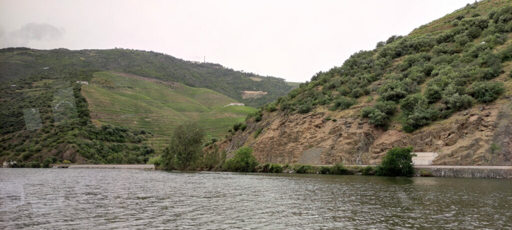 Douro Valley view from Pinhão