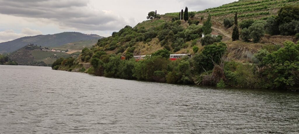 Pinhão train in the middle of vineyards