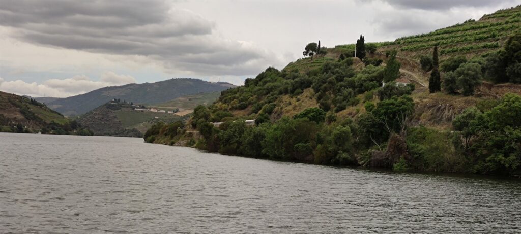 Douro vineyards view from the boat cruize
