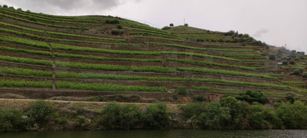 Port Wine cellars from Douro