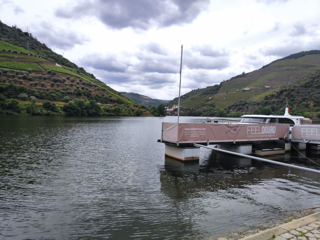 Port of Pinhão region