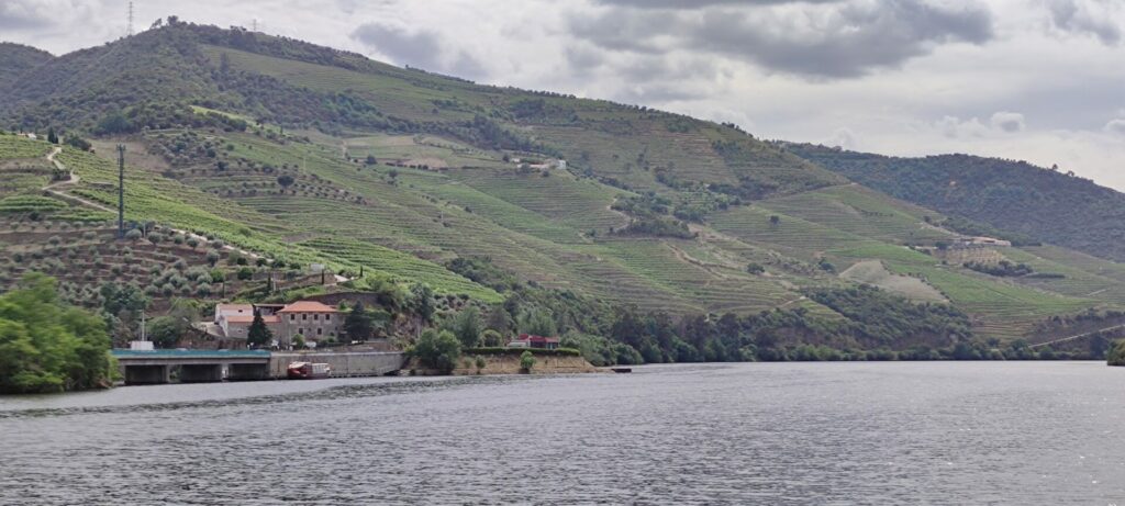 Douro coast