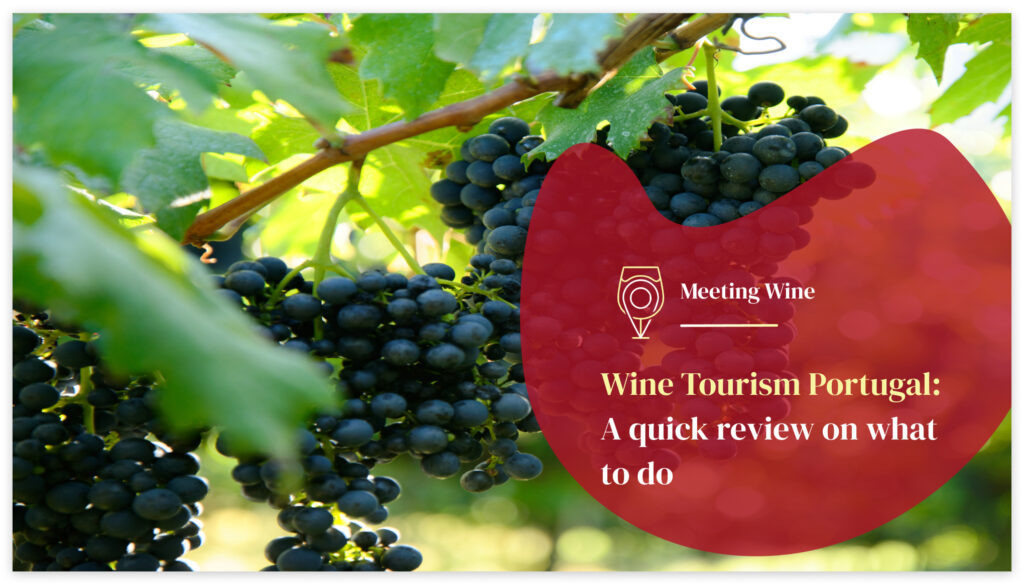 Discovering wine tourism Archives Meeting Wine