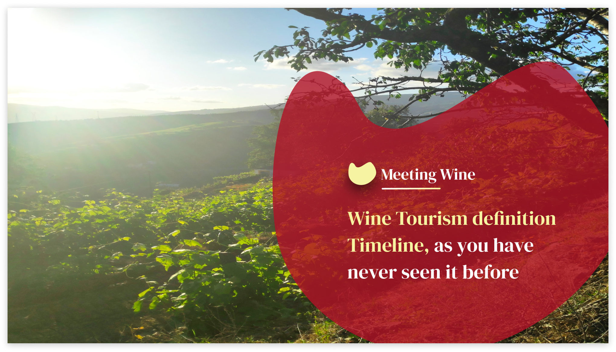 Wine Tourism definition Timeline, as never seen before Meeting Wine