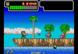 Wonder Boy — image 2 sur 5