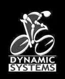 Dynamic Systems Ltd. — image 1 sur 1