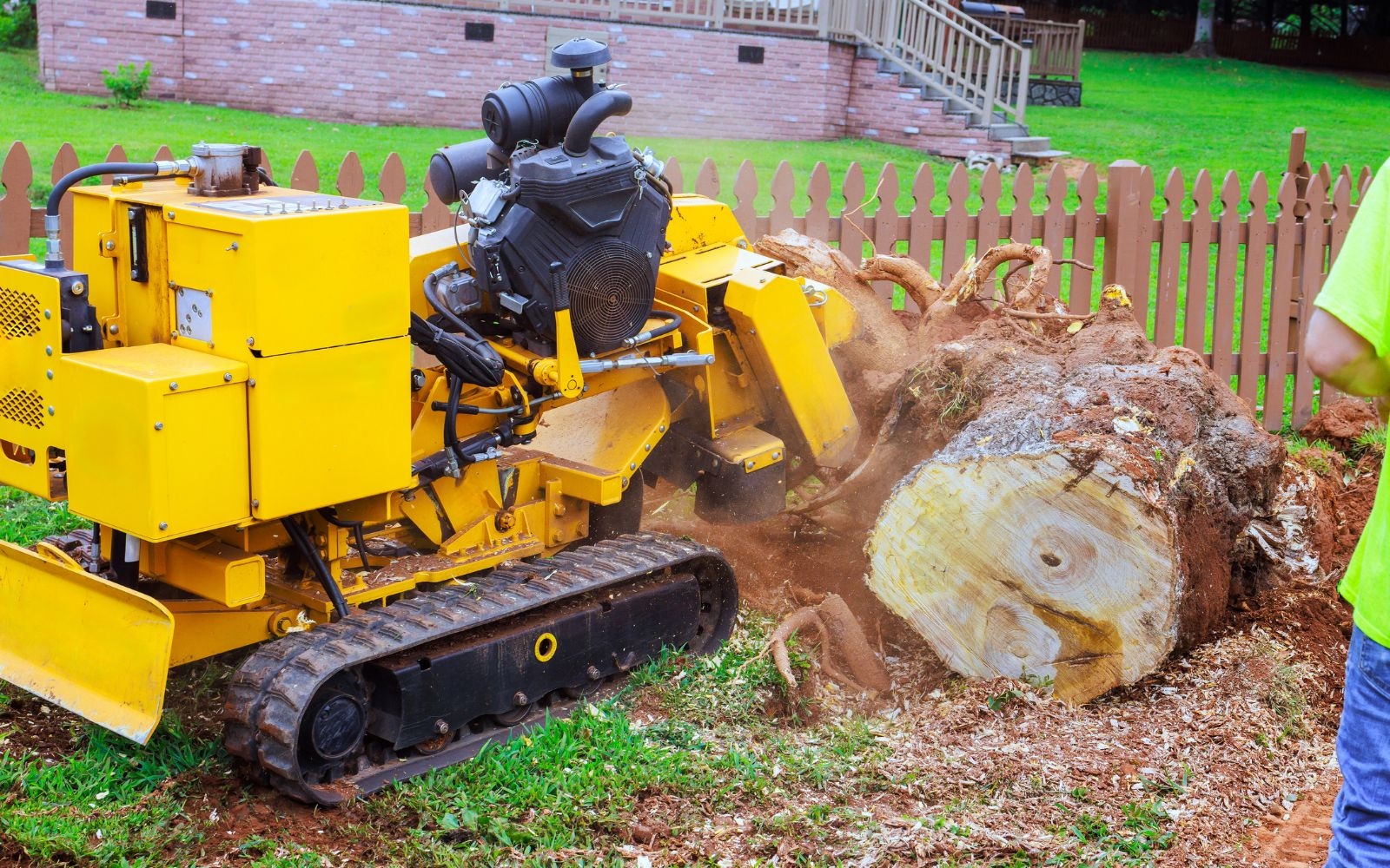 Can you safely manage trees near power lines?