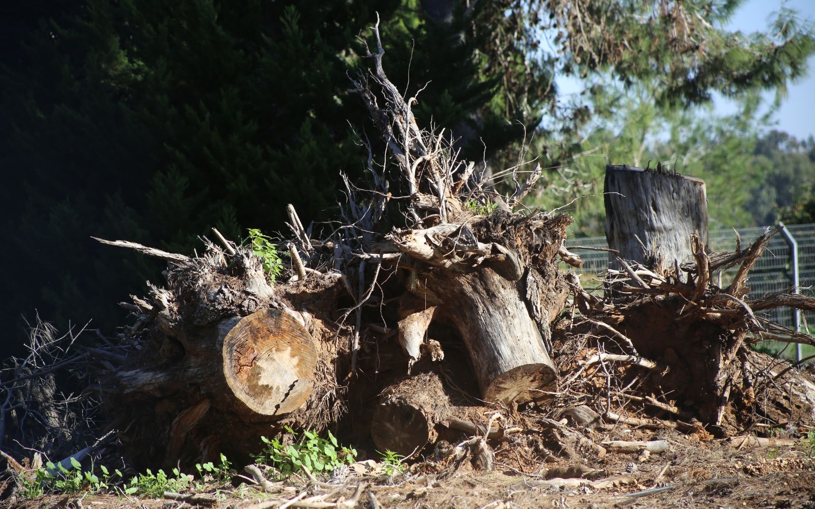 Land Clearing Services for Development and Construction