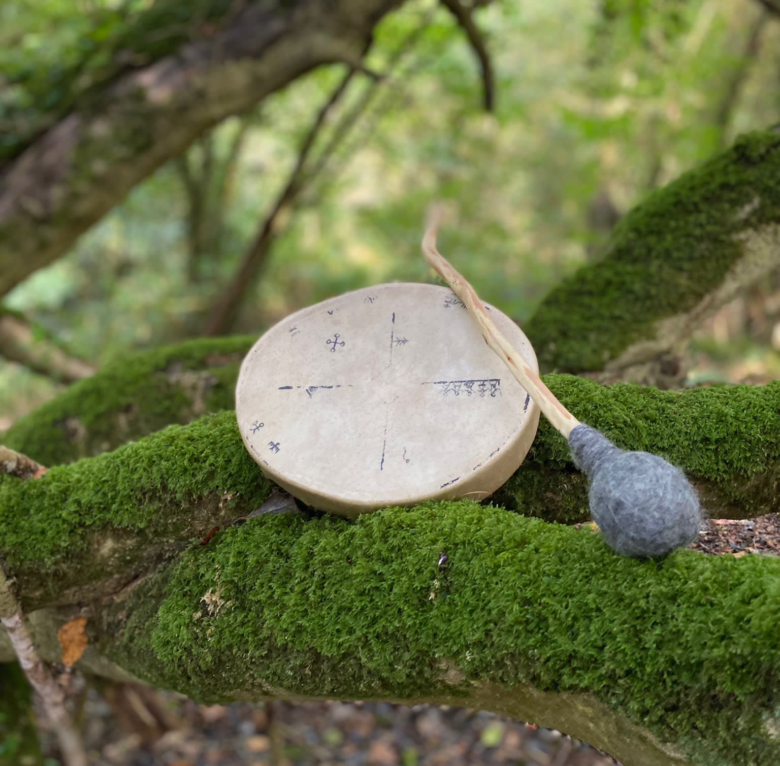 Shamanic Practitioner Training