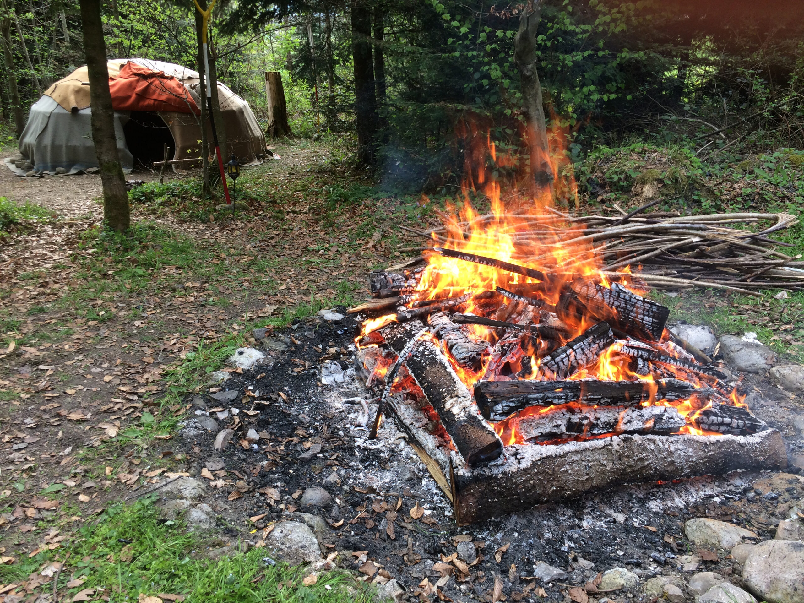 Nordic School of Shamanism