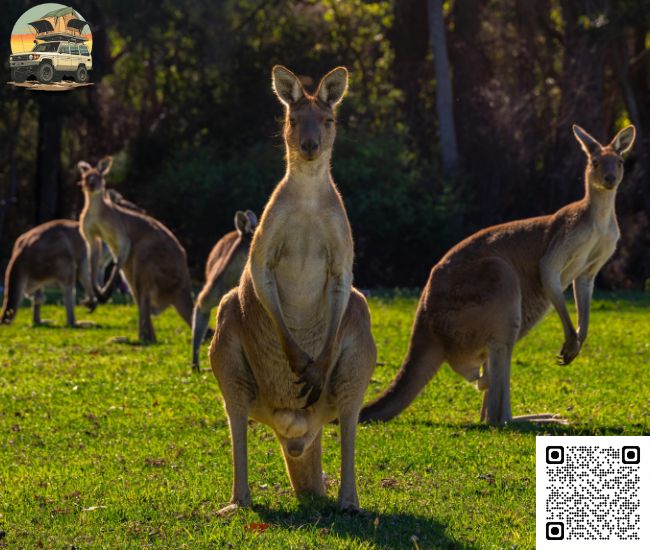 What are your office hours in Perth?