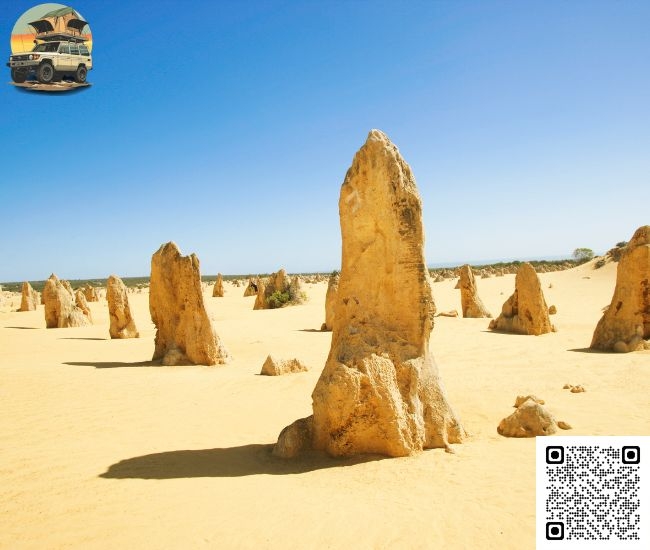 Comfort, Confidence, and Value in Every Trip