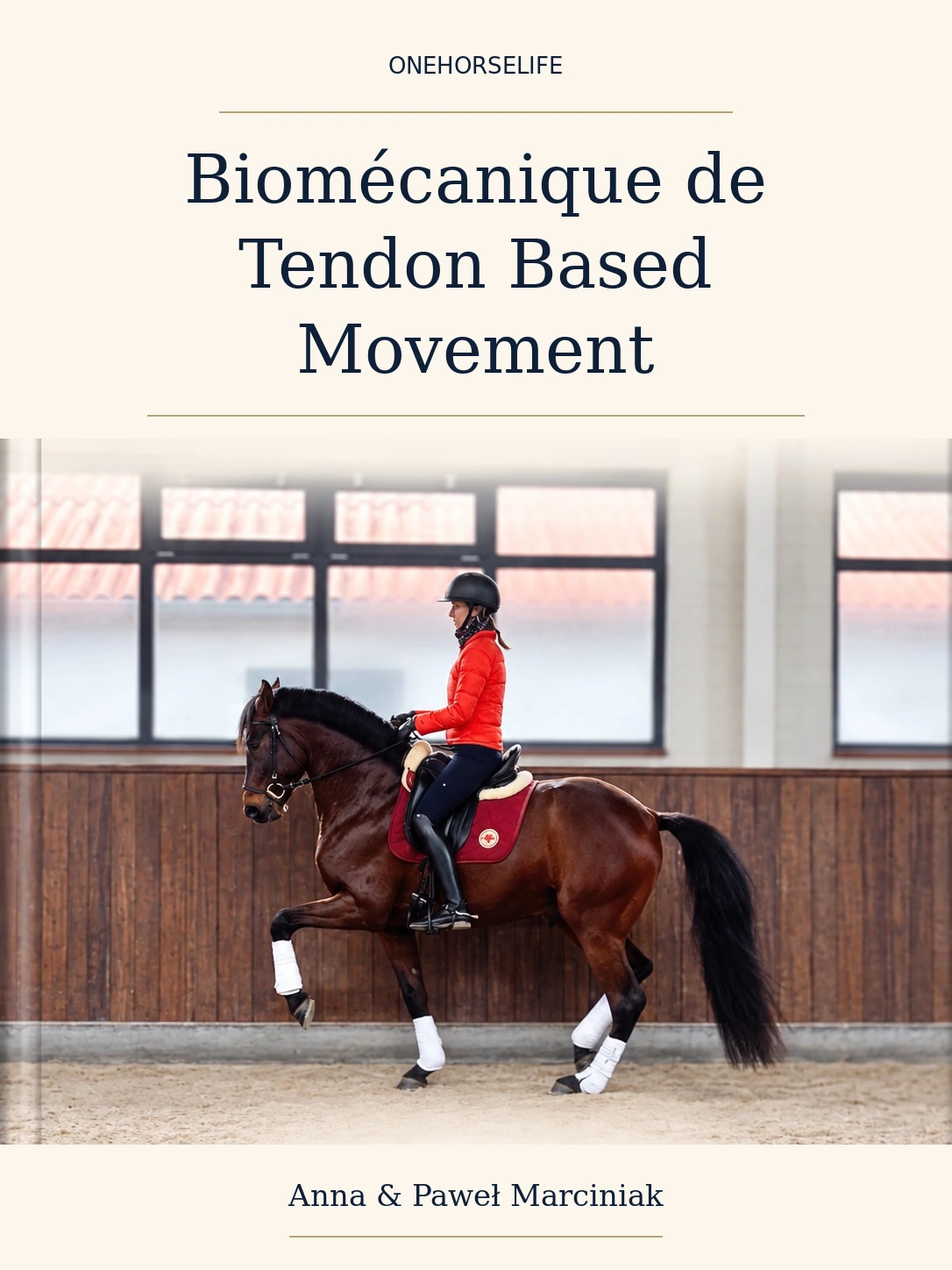 Biomécanique de Tendon Based Movement