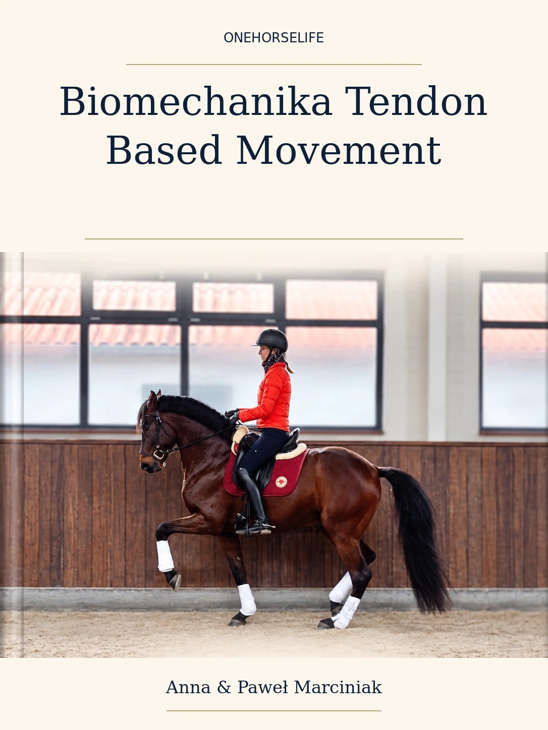 Biomechanika Tendon Based Movement