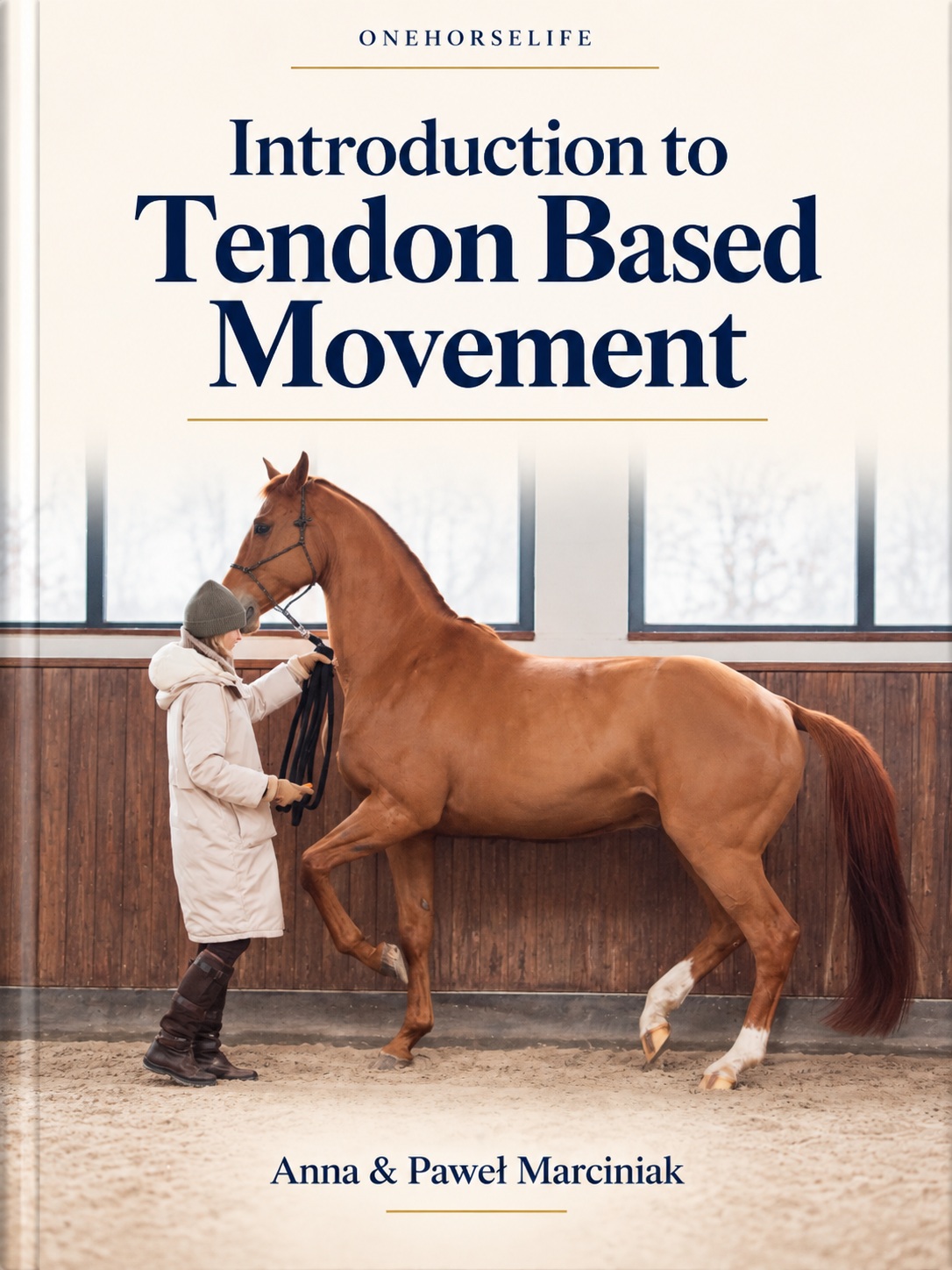 Introduction to Tendon Based Movement book cover