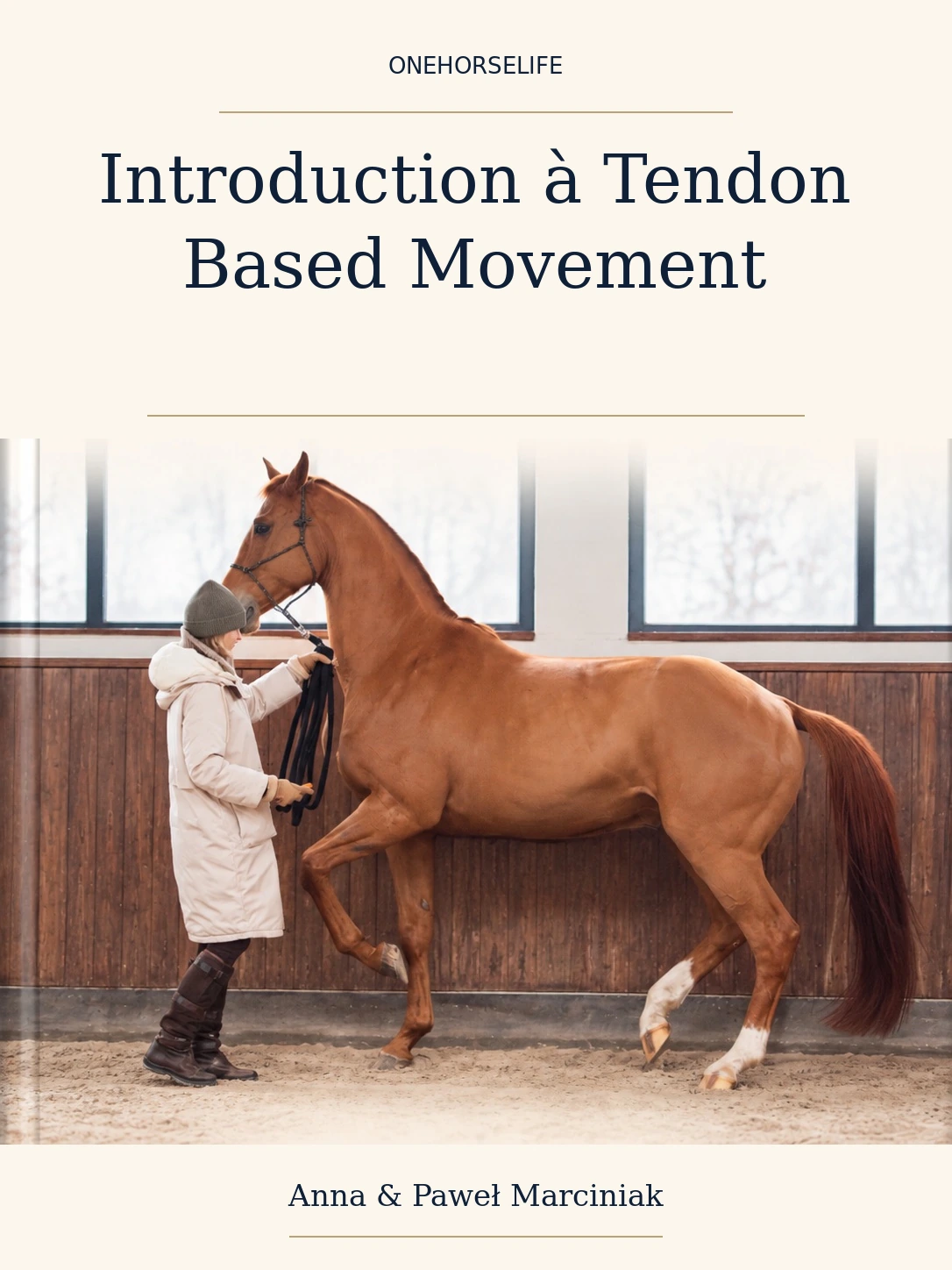 Introduction à Tendon Based Movement