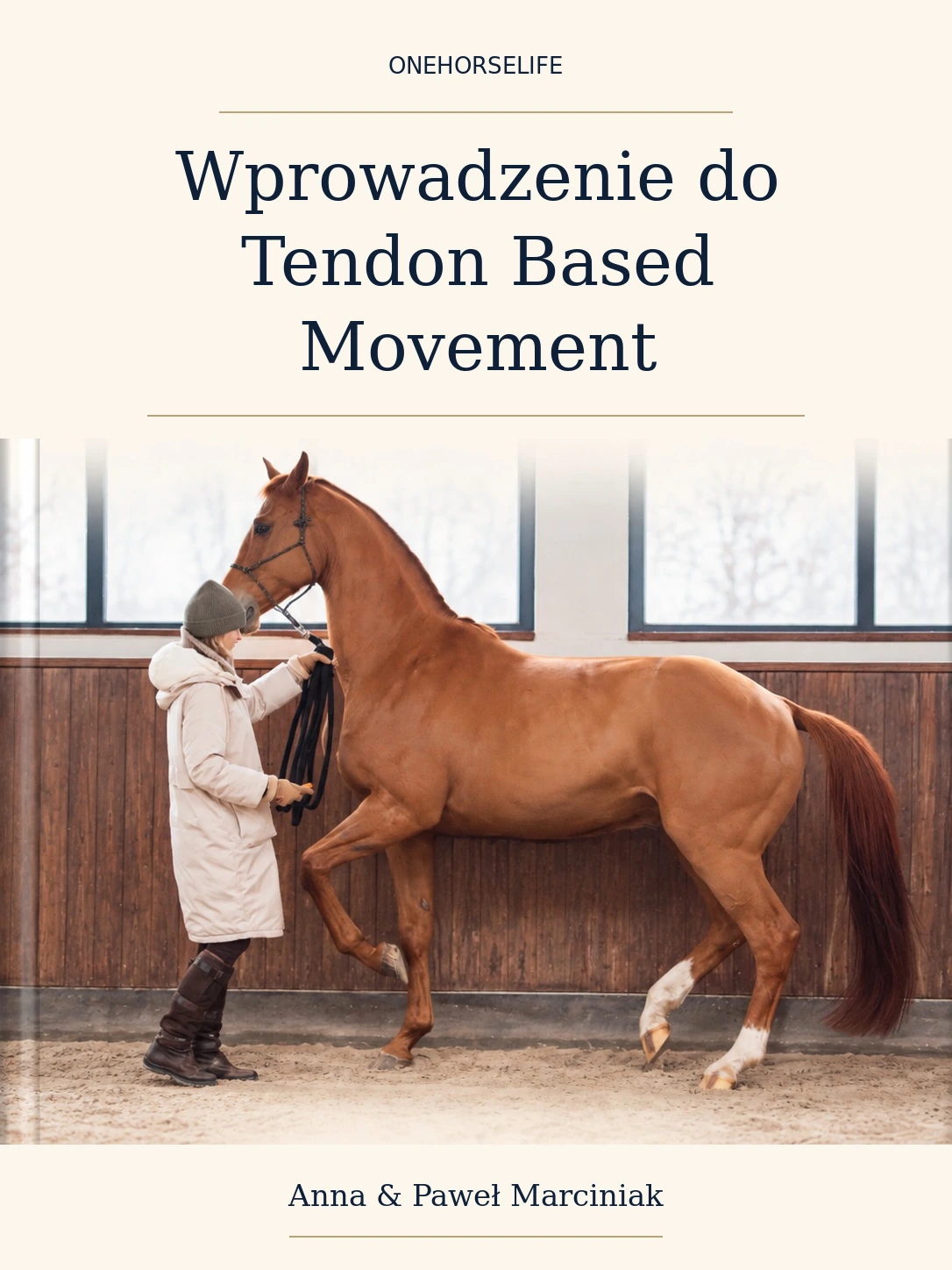 Wprowadzenie do Tendon Based Movement