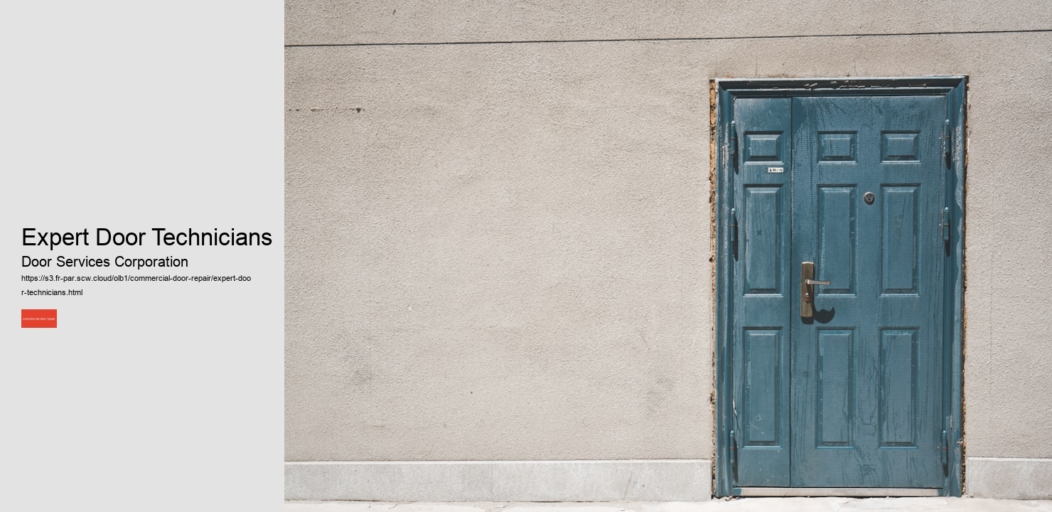 Expert Door Technicians