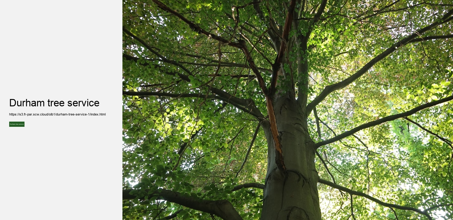 Durham tree service