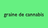 img/logo.jpg