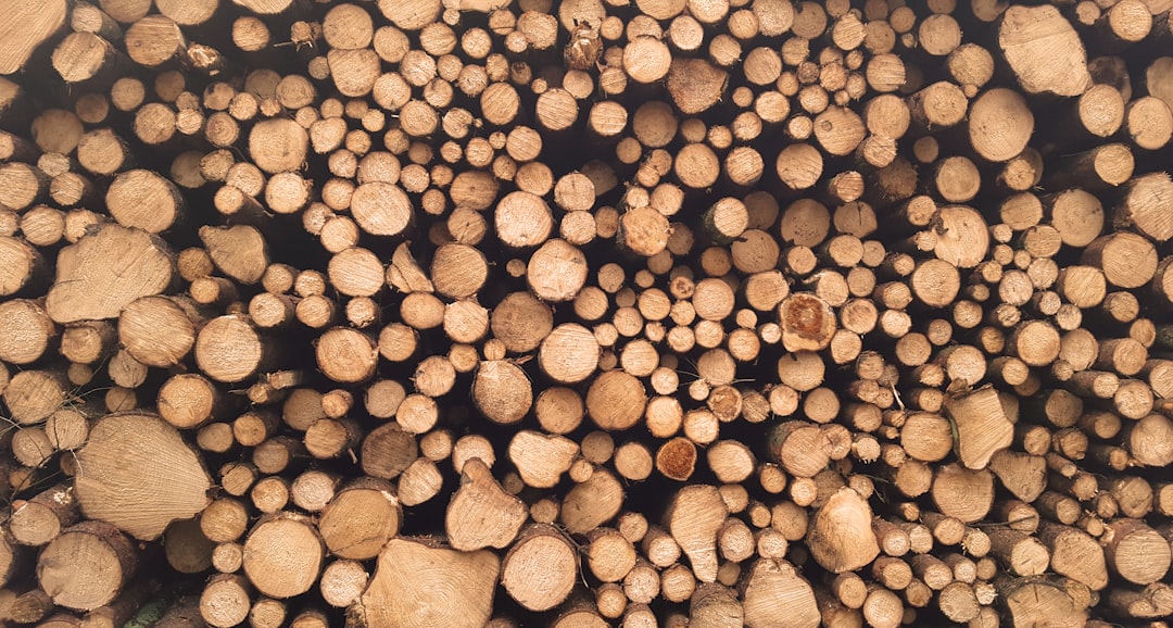 Cost of Hardwood Floor Installation in Toronto