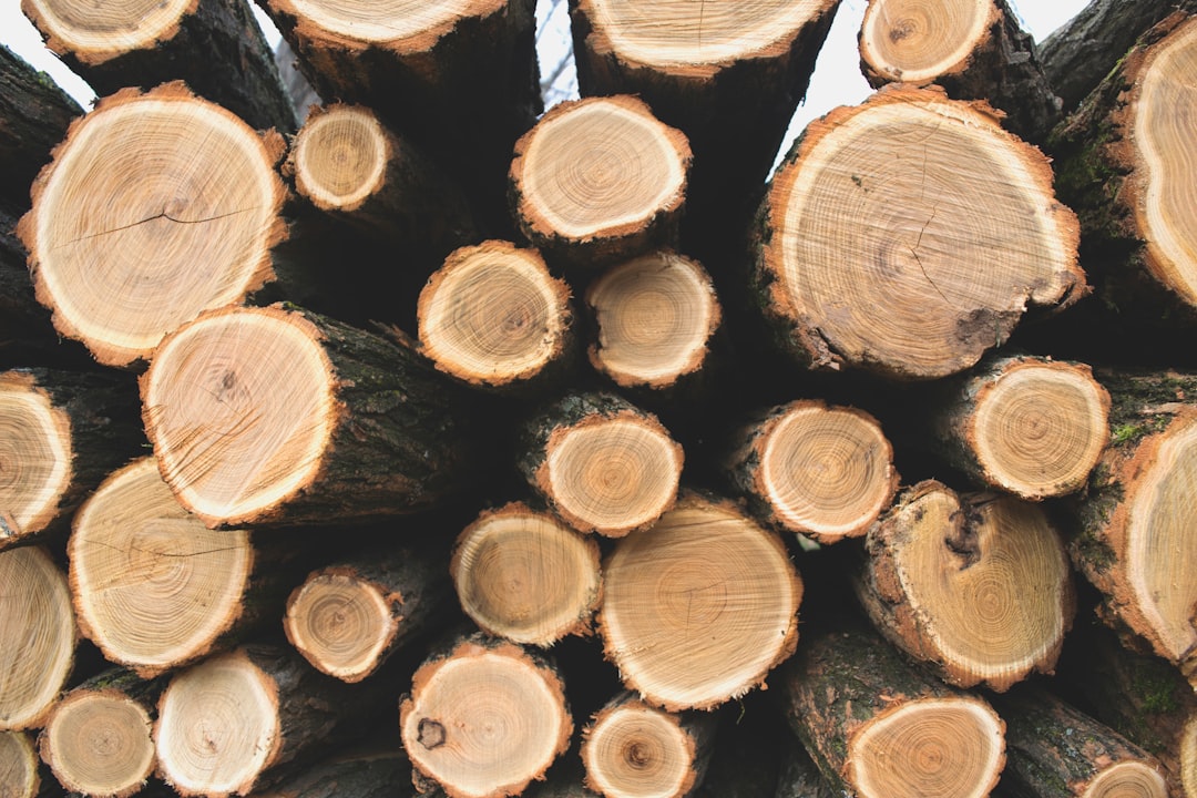 Best Hardwood Floor Contractors in Toronto