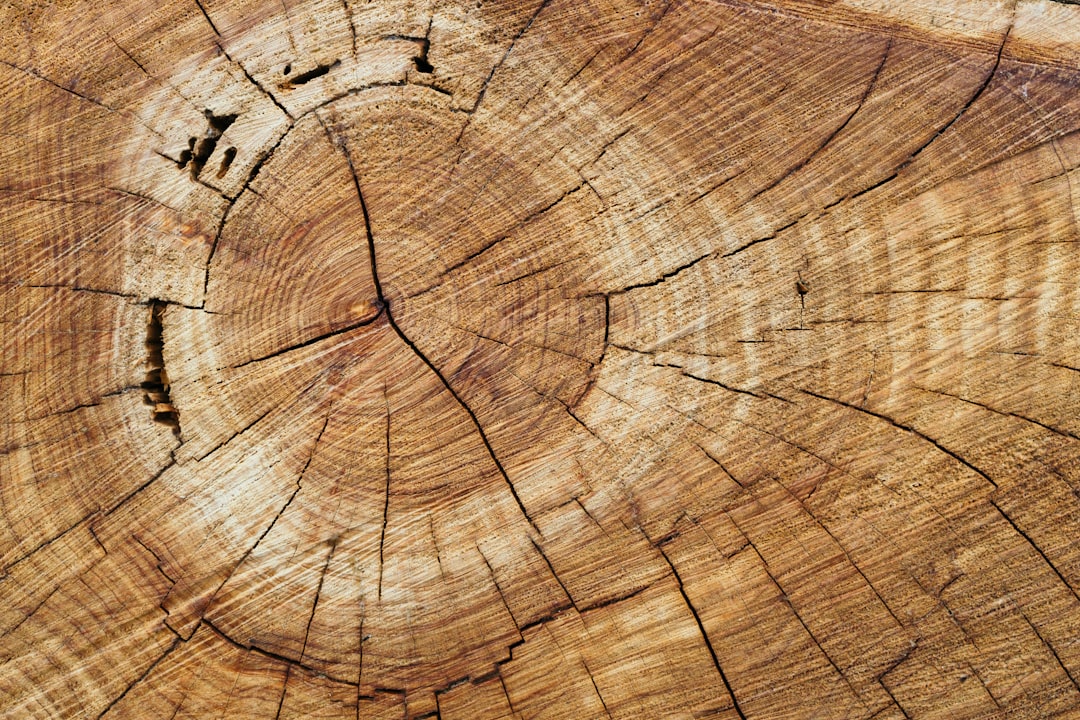 Best Hardwood Flooring Brands & Manufacturers