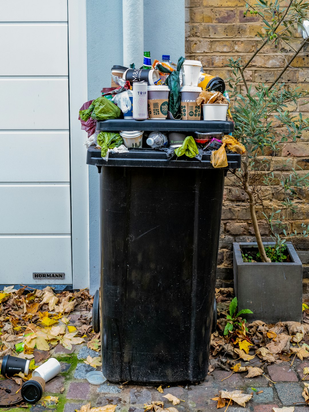 Regulatory-Compliant Waste Disposal Programs