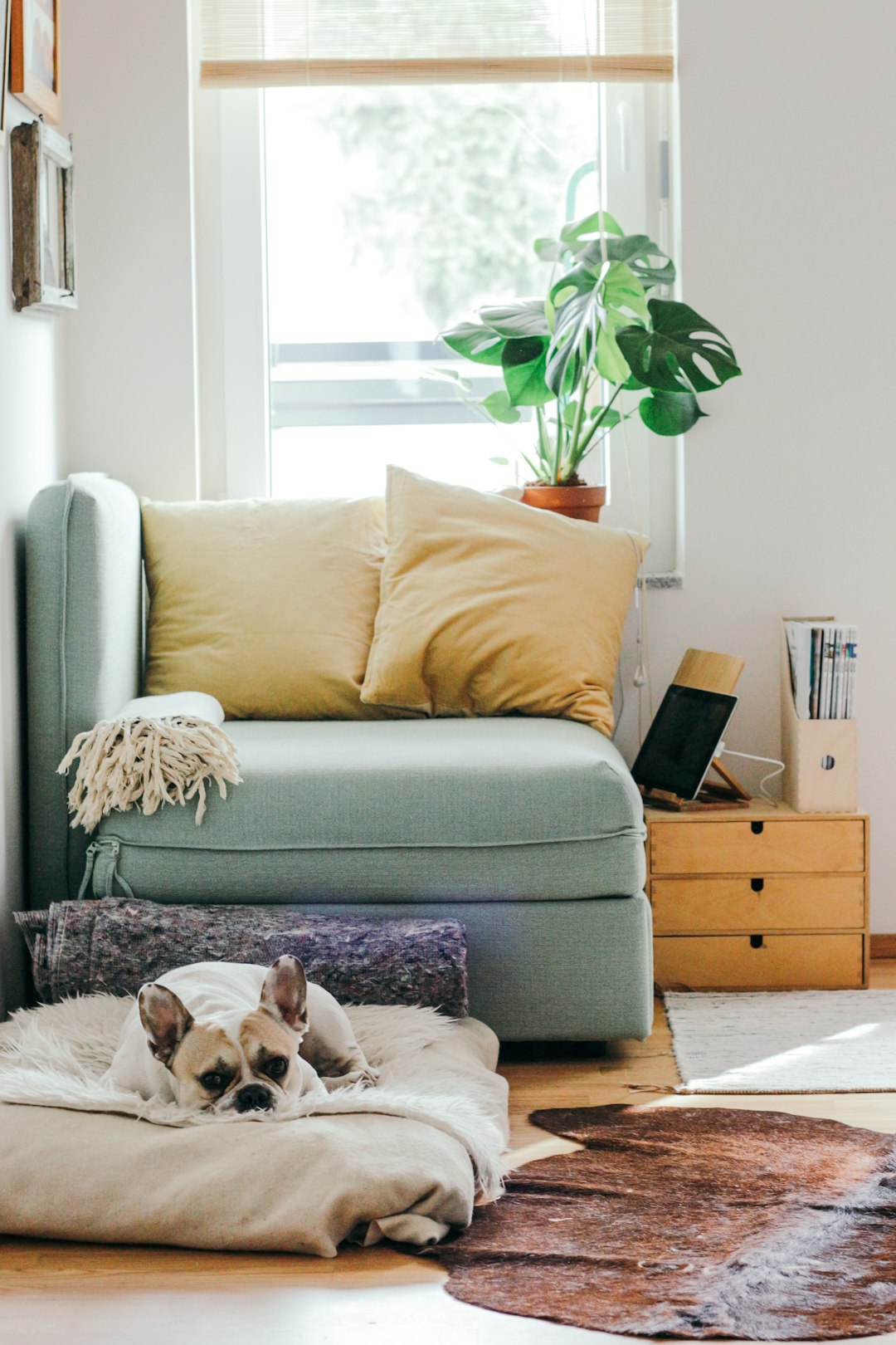 From Backyard Space to Livable Units