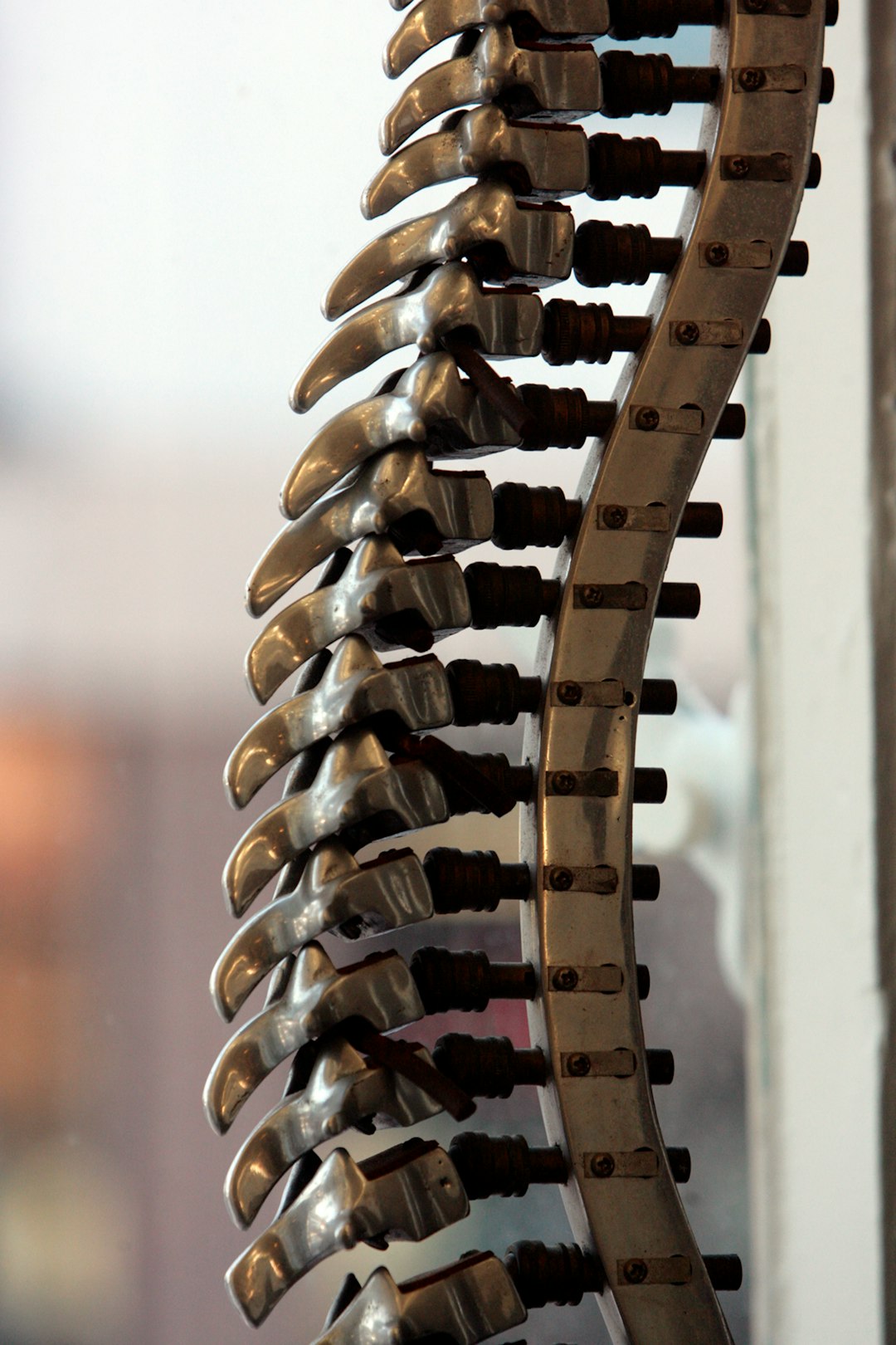Chiropractic Treatment for TMJ and Jaw Pain Relief
