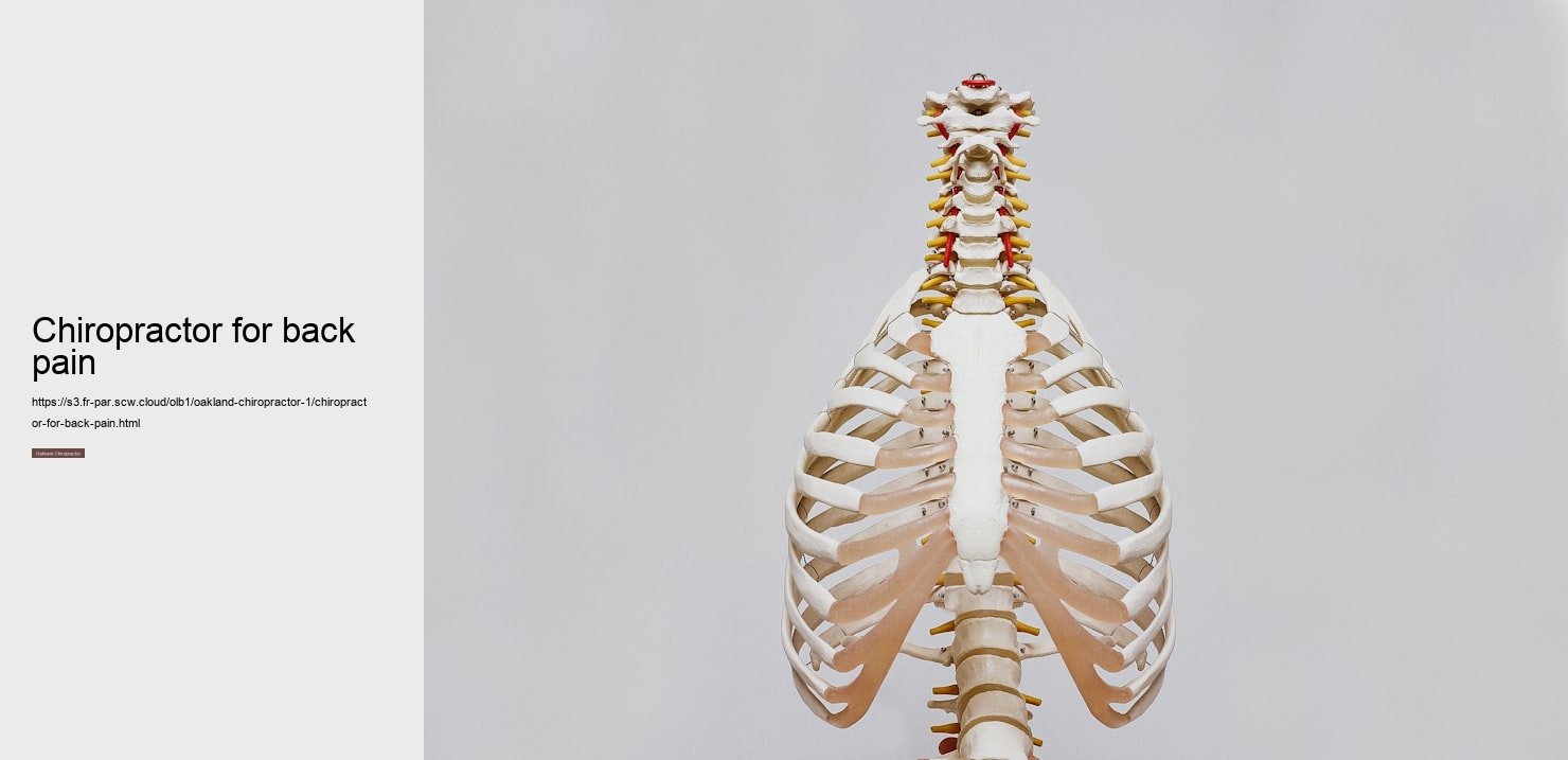 Chiropractor for back pain