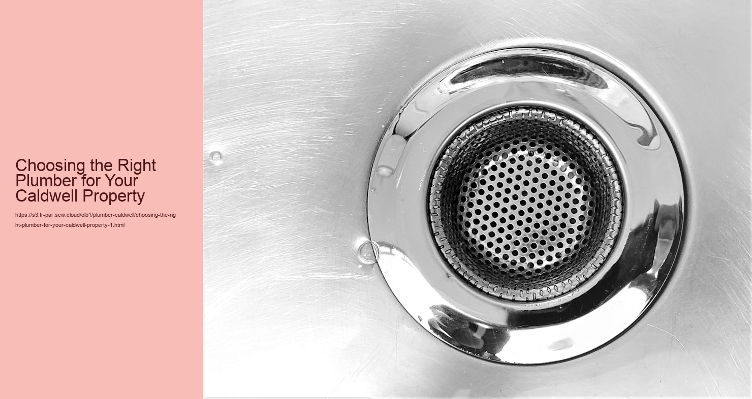 Choosing the Right Plumber for Your Caldwell Property